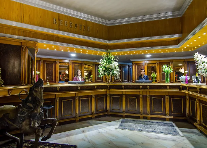 Lido By Phoenicia Hotel