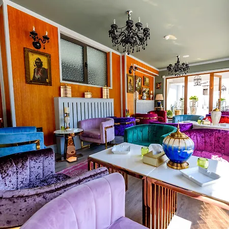 Lido By Phoenicia